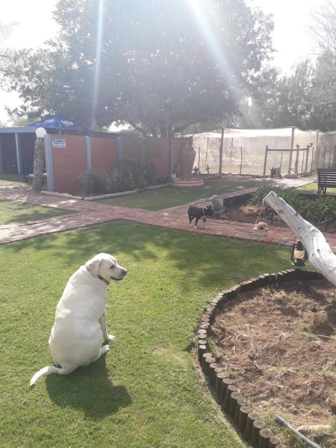 Culdesac Guesthouse Oudtshoorn Ngoại thất bức ảnh